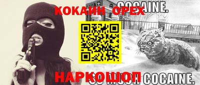 прущие грибы Канаш