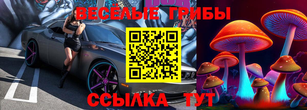 Бутират Советск