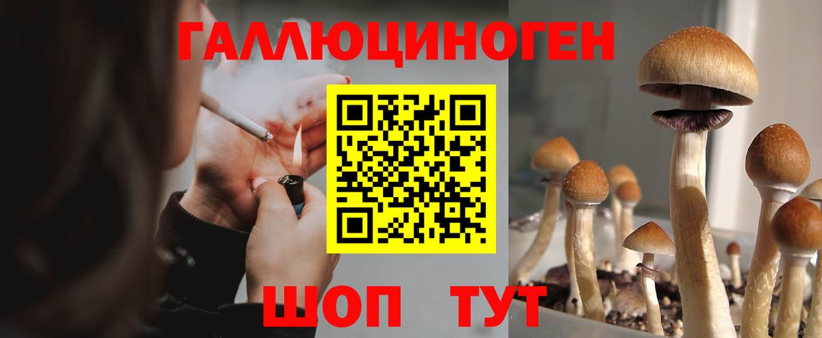 Советск  сколько стоит  Вход с VPN  Галлюциногенные грибы Magic Shrooms 
